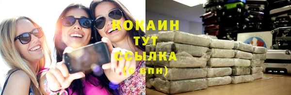 шишки Мегион