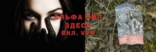 мяу мяу мука Весьегонск