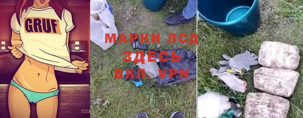 шишки Мегион