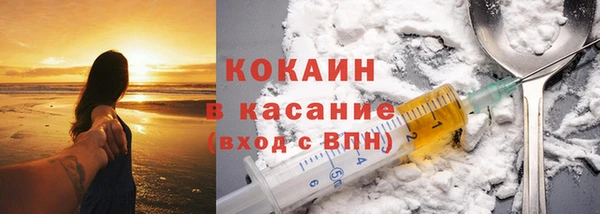 прущие грибы Михайлов