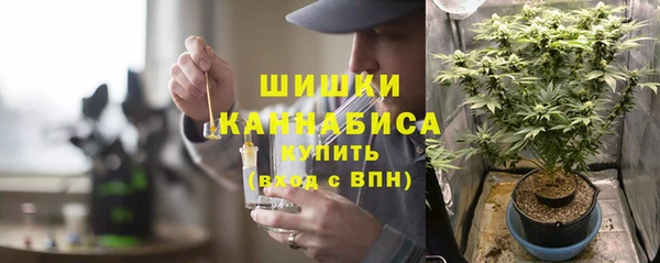 шишки Мегион