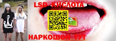 ПСИЛОЦИБИНОВЫЕ ГРИБЫ Бузулук