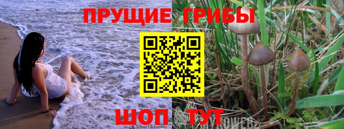 Псилоцибиновые грибы Cubensis Приморско-Ахтарск
